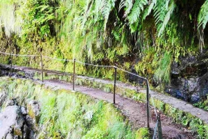 Queimadas Caldeirão Verde Caminhada de dia inteiro