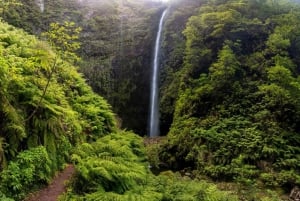 Queimadas Caldeirão Verde Madeira Island Walk