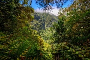 Queimadas Caldeirão Verde Madeira Island Walk