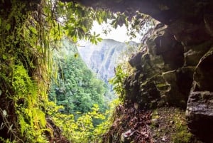 Queimadas Caldeirão Verde Madeira Island Walk