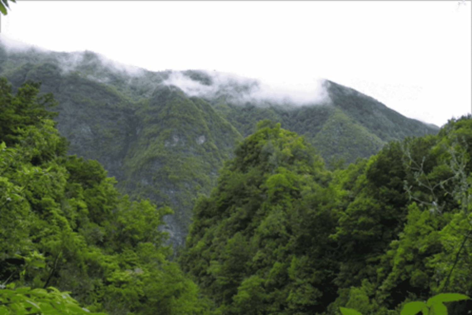 Queimadas Caldeirão Verde Vandring med guide