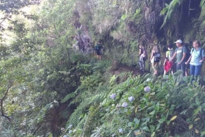 Queimadas Caldeirão Verde Wycieczka piesza z przewodnikiem