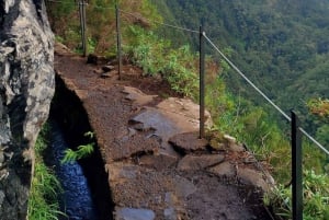 Queimadas Caldeirão Verde Vandring med guide