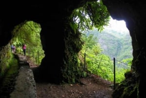 Queimadas Caldeirão Verde Vandring med guide