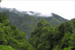 Queimadas Caldeirão Verde Vandring med guide