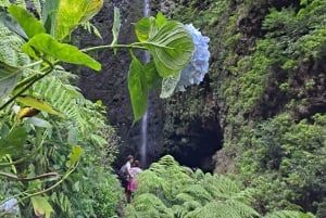 Queimadas Caldeirão Verde Vandring med guide