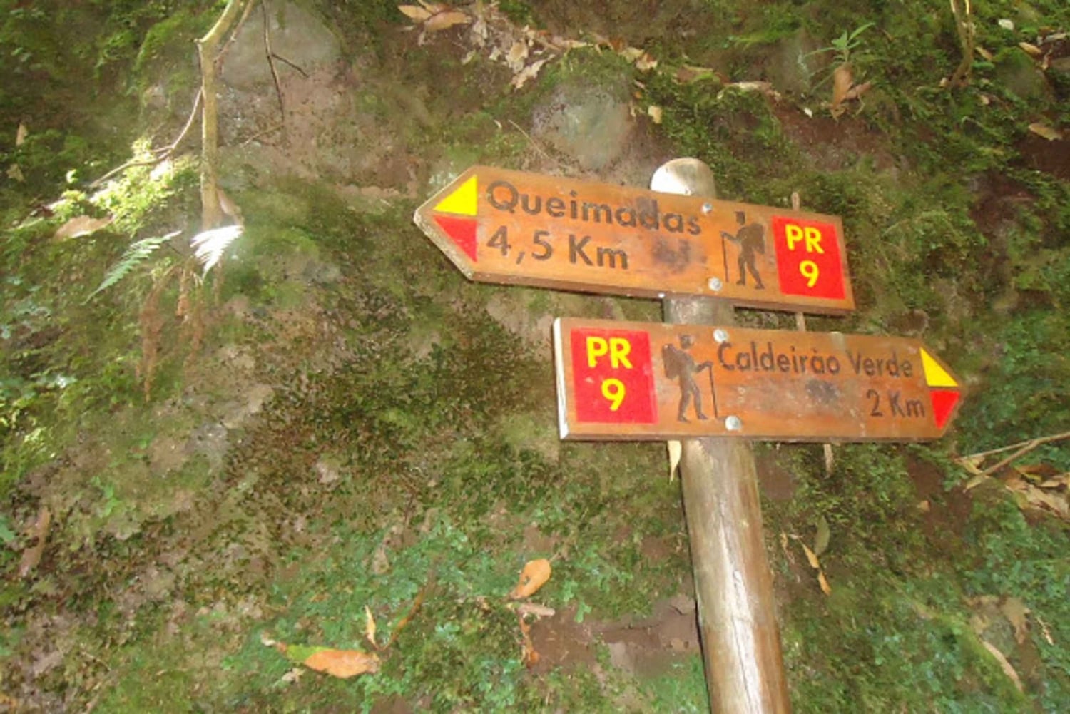 ケイマダス自然公園 5 時間ガイド付きハイキング