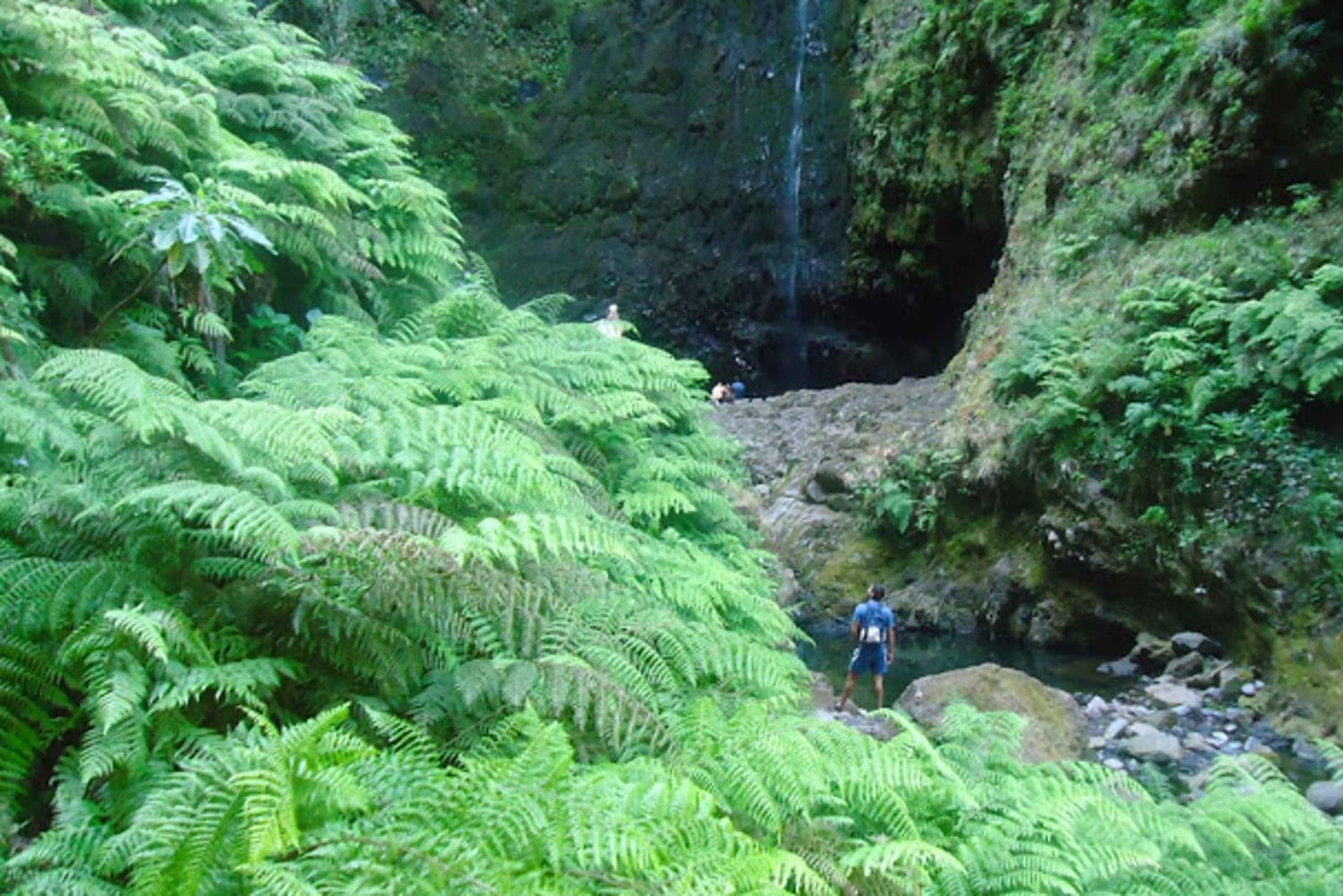 ケイマダス自然公園 5 時間ガイド付きハイキング