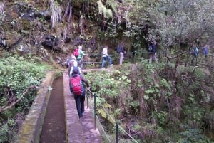 Queimadas Natural Park 5-Hour Guided Hike