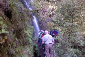 Queimadas Natural Park 5-Hour Guided Hike