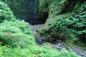 Queimadas Natural Park 5-Hour Guided Hike