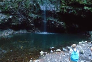 Queimadas Natural Park 5-Hour Guided Hike