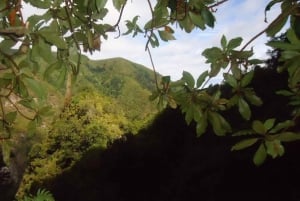 Queimadas Natural Park 5-Hour Guided Hike