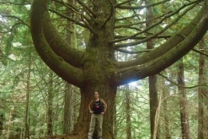 Queimadas Natural Park 5-Hour Guided Hike