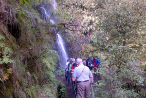 ケイマダス自然公園 5 時間ガイド付きハイキング