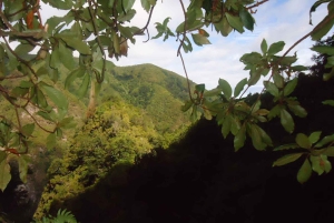 ケイマダス自然公園 5 時間ガイド付きハイキング