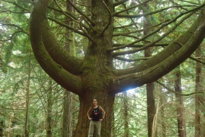 ケイマダス自然公園 5 時間ガイド付きハイキング