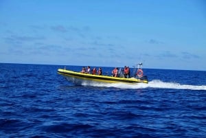 Quinta do Lorde: Ponta de São Lourenço Water Taxi