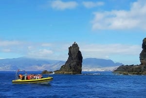 Quinta do Lorde: Ponta de São Lourenço Water Taxi