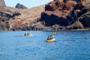 Quinta do Lorde: Kayak Experience in Ponta de São Lourenço