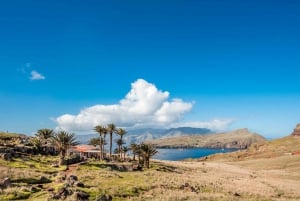 Quinta do Lorde: Kayak Experience in Ponta de São Lourenço