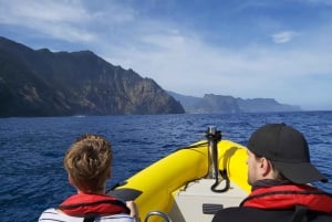 Quinta do Lorde: Kayak Experience in Ponta de São Lourenço