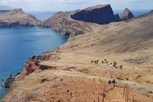Quinta do Lorde: Taksówka wodna Ponta de São Lourenço