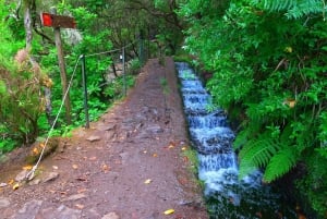 Rabaçal: 25 Fontes & Risco Levada Hiking Transfer