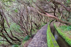 Rabaçal: 25 Fontes & Risco Levada Hiking Transfer