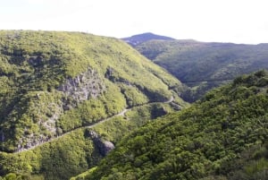 Rabaçal: 25 Fontes & Risco Levada Hiking Transfer