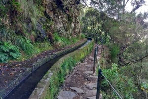 Rabaçal: 25 Fontes & Risco Levada Hiking Transfer