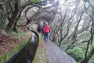 Rabaçal: 25 Fontes & Risco Levada Hiking Transfer