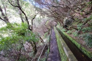 Rabaçal: 25 Fontes & Risco Levada Hiking Transfer