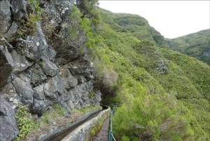Rabaçal: 25 Fontes & Risco Levada Hiking Transfer