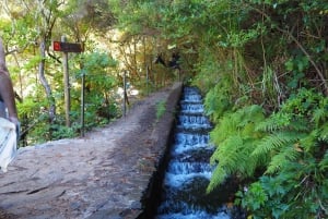 Rabaçal: 25 Fontes & Risco Levada Hiking Transfer