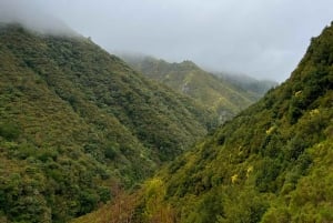 Rabaçal: 25 Fontes & Risco Levada Hiking Transfer