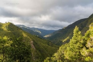 Rabaçal: 25 Fontes & Risco Levada Hiking Transfer