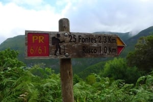 Rabaçal: 25 Fontes & Risco Levada Hiking Transfer