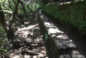 Rabaçal: 25 Fontes & Risco Levada Hiking Transfer