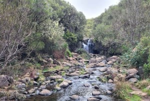 Rabaçal: 25 Fontes & Risco Levada Hiking Transfer