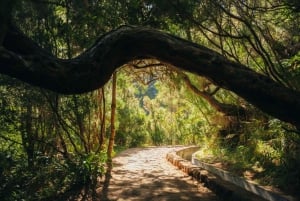 Rabaçal: 25 Fontes & Risco Levada Wandeltocht Transfer