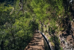 Rabaçal: 25 Fontes & Risco Levada Wandeltocht Transfer