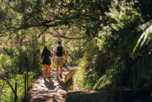 Rabaçal: 25 Fontes & Risco Levada Wandeltocht Transfer