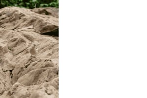 Rabaçal: 25 Fontes & Risco Levada Transfer Self-guided Hike