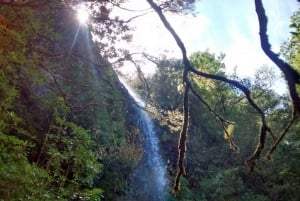 Rabaçal: Lagoa do Vento, Levada Risco and Levada 25 Fontes