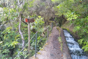 Рабасал: Лагоа-ду-Венто, Левада-Риско и Левада-25 Фонтес.