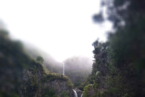 Рабасал: Лагоа-ду-Венто, Левада-Риско и Левада-25 Фонтес.