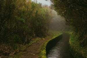 Rabaçal Nature Experience: Alecrim & Lagoa do Vento Hike