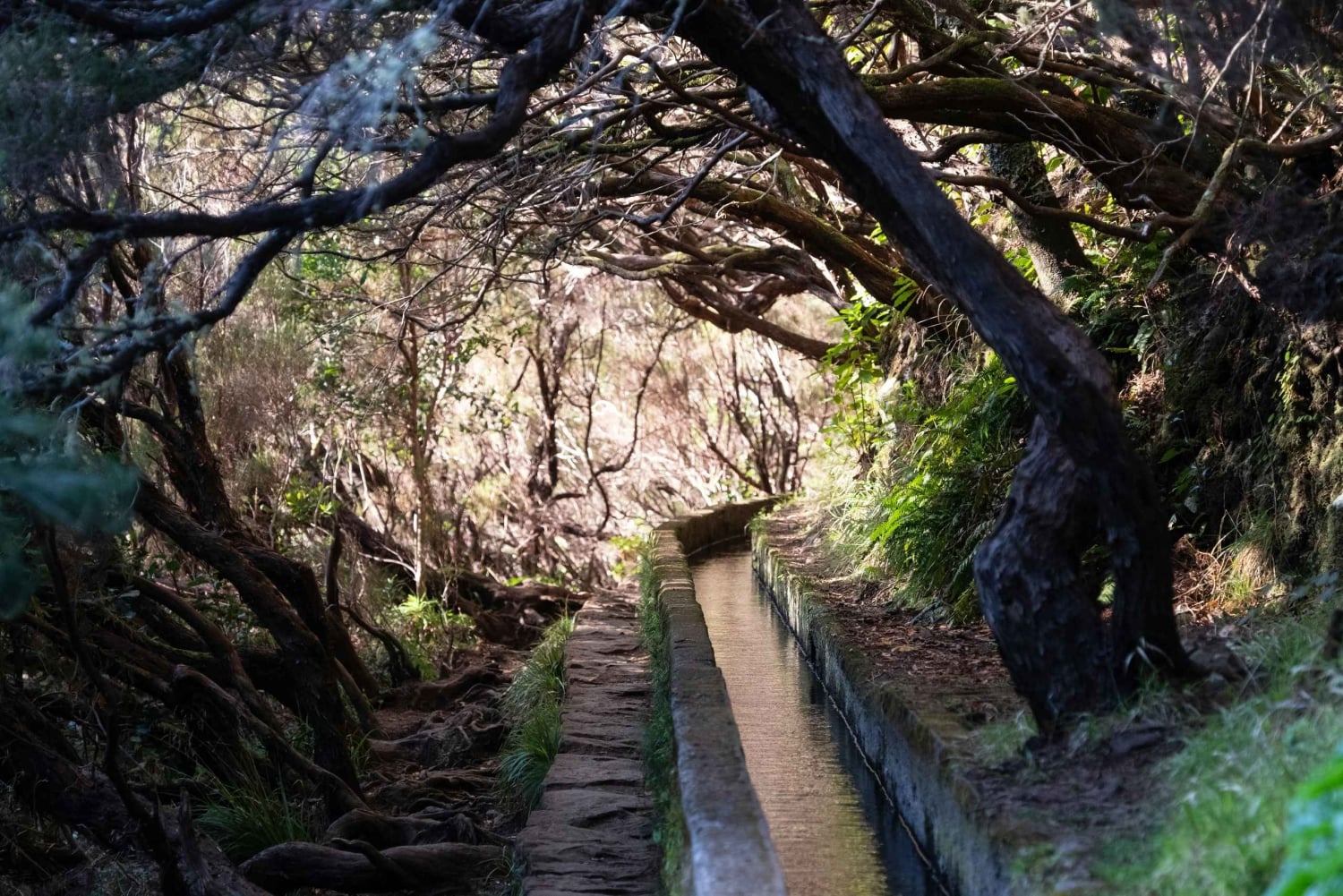 Paseo por la naturaleza de Rabacal: lagos y fuentes