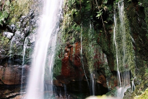 Rabacal Nature Walk: Lakes & Fountains